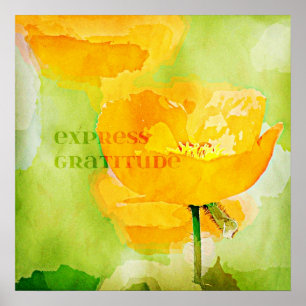 Pôster Papoila expressa da laranja da gratitude