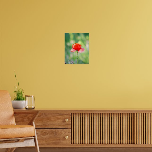 Poster Papoula Vermelha Radiante (Sala de Estar 2)