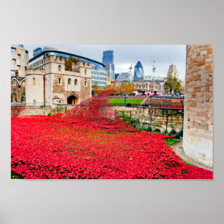 Poster Papoulas Vermelhas da Torre de Londres Papoula Ver