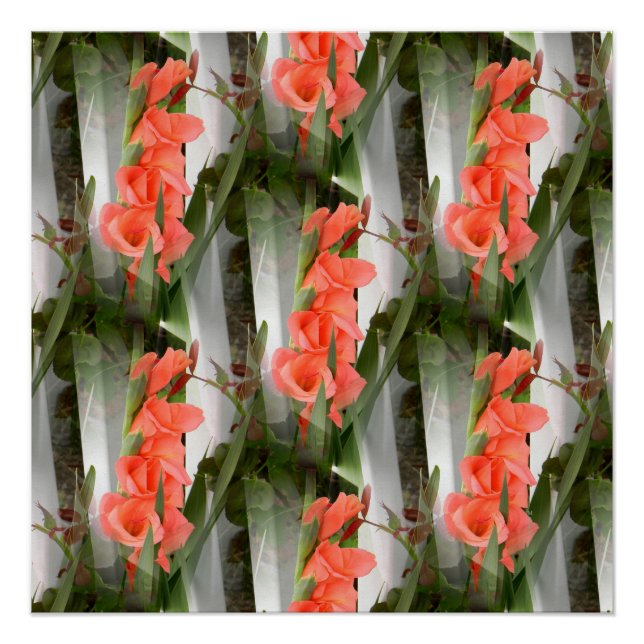 Pôster Paquiabilidade.... (Frente)