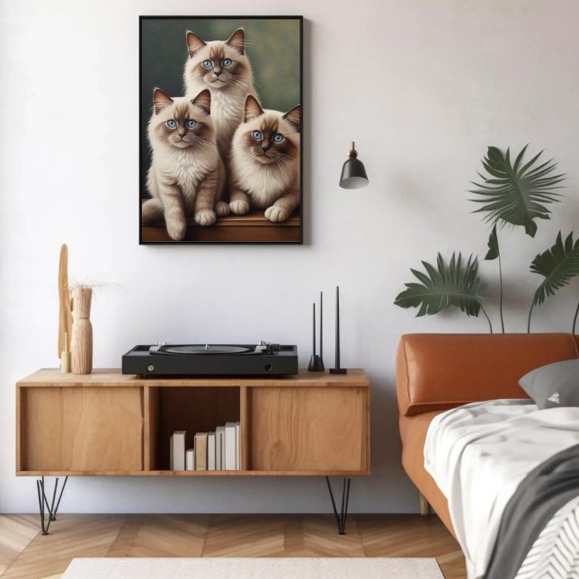 Poster Par Adorável de Gatinhos Ragdoll Gato Doce (Criador carregado)