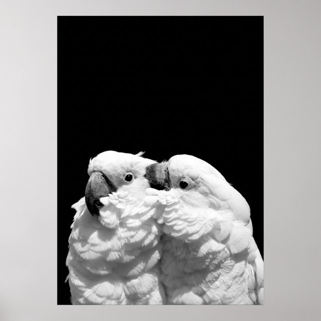 Pôster Par de cataratas (Frente)