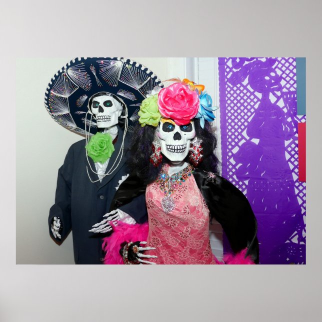 Poster Par de Catarinas (Frente)