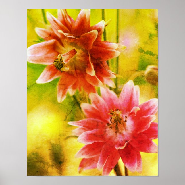 Poster Par de Flores Vermelhas e Brancas - Arte Distressa (Frente)