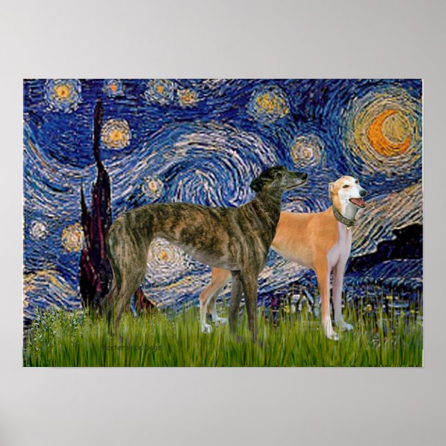 Pôster Par de Galgos - Noite Estrelada (Frente)