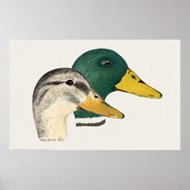 Poster Par de Patos de Mallard (Drake e Hen) (Frente)