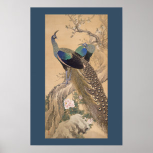Poster Par de Peacocks em Primavera por Imao Keinen
