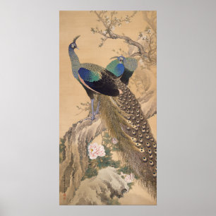Poster Par de Peacocks na Primavera por Imao Keinen