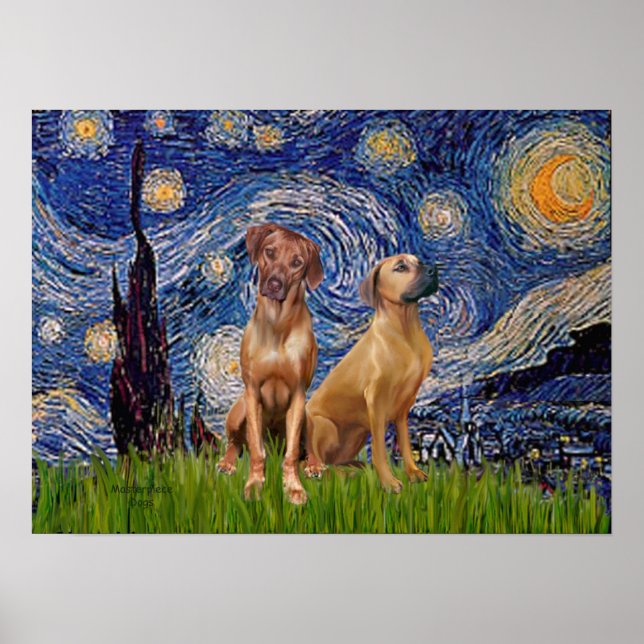 Pôster Par de Rhodesian Ridgeback - Noite Estrelada (Frente)