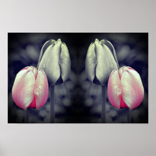 Poster Par de Tulipas Arte Preto e Branco Cor Parcial