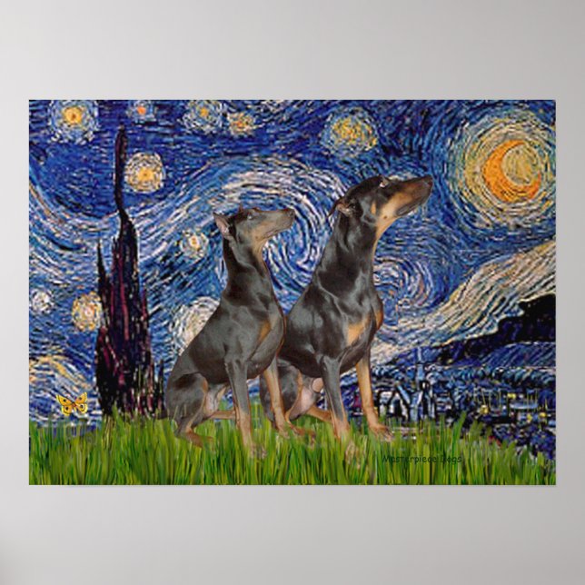 Pôster Par Doberman - Noite Estrelada (Frente)