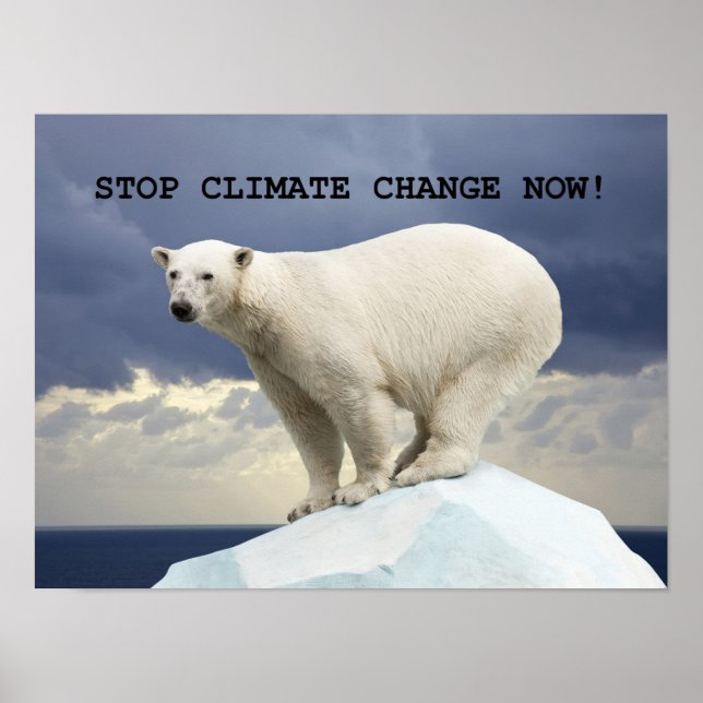 Poster PÁRA A MUDANÇA CLIMÁTICA! Urso Polar (Frente)