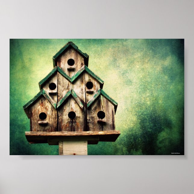 Pôster Para as aves (Frente)