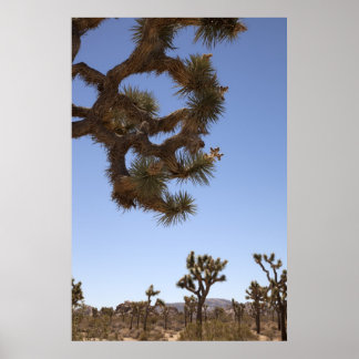 Pôster Para baixo na frente