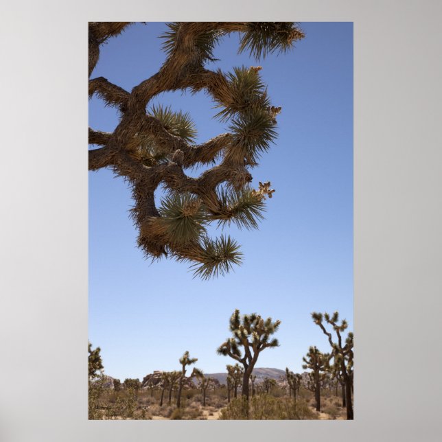 Pôster Para baixo na frente (Frente)