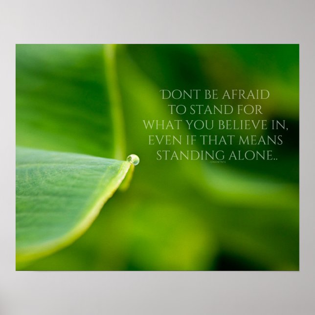 Poster para cima (Frente)