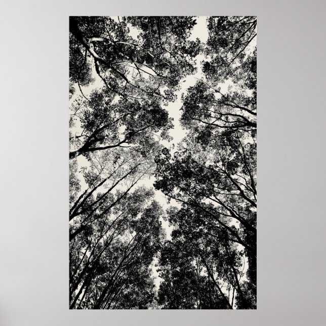 Poster Para Cima Através Das Árvores, 2018 | Imagens SVP (Frente)