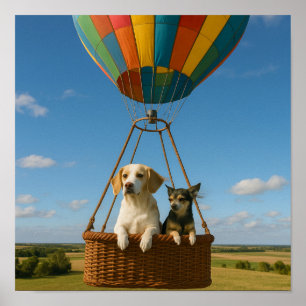 Poster "Para Cima e Para Longe"