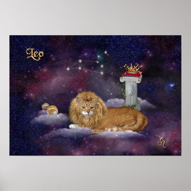 Pôster Para Leos e Gatos (Frente)