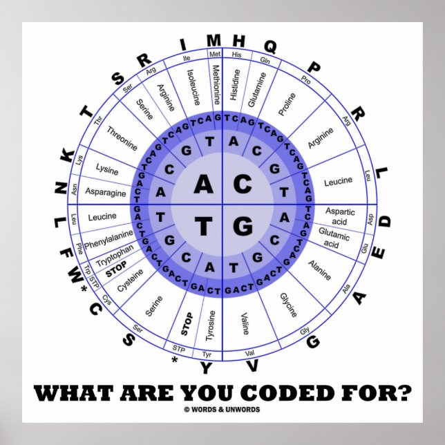 Poster Para Que Você Está Codificado? (Amino Acid Wheel) (Frente)