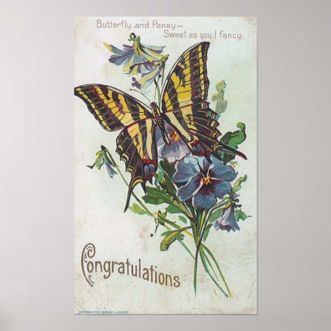 Poster Parabéns (Frente)