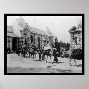 Poster Parada 1901 do camelo da expo de Pan Am