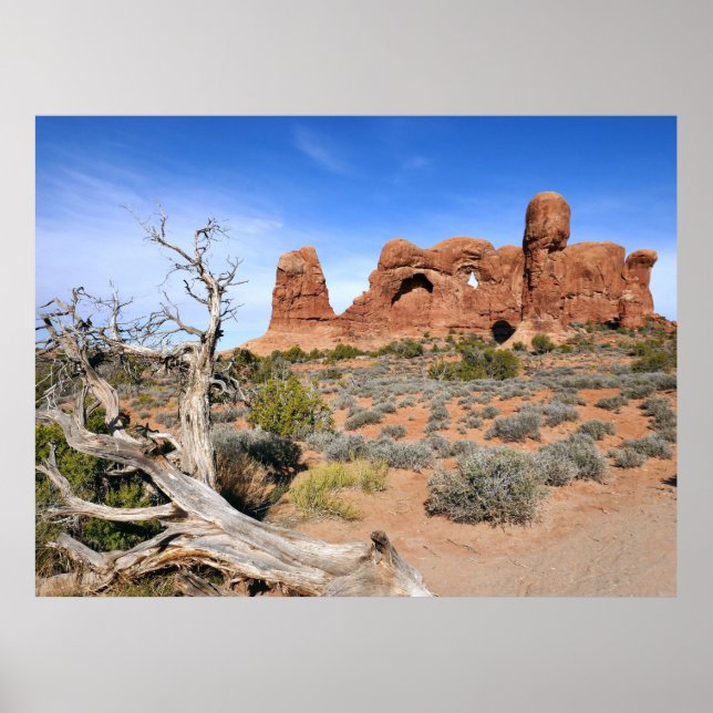 Poster Parada dos Elefantes (Frente)