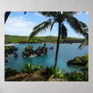 Poster Paradise Beach - Maui, Havaí