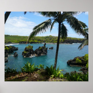 Poster Paradise Beach - Maui, Havaí