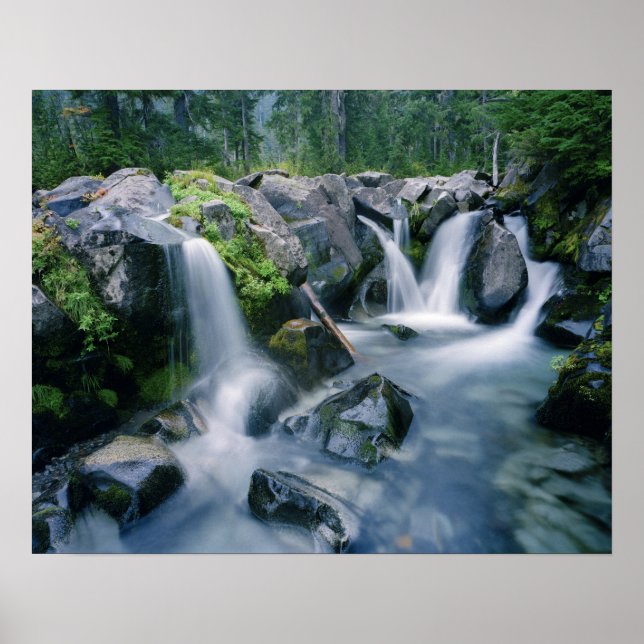 Poster Paradise Creek flui pelas encostas do Monte (Frente)
