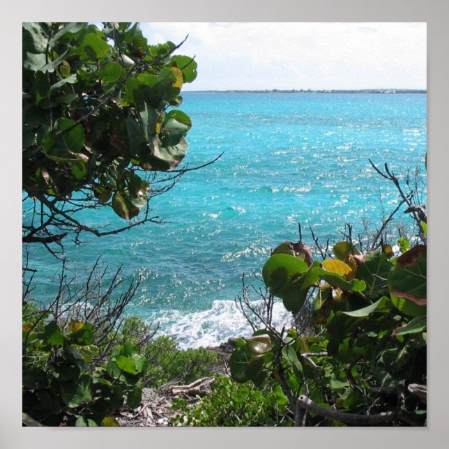 Poster Paraíso (Frente)