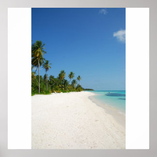 Pôster Paraíso de praia com palmeiras