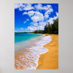 Poster Paraíso de praia tropical, Havaí