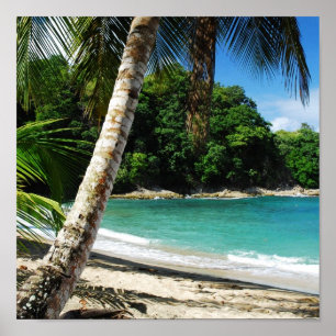 Pôster Paraíso de Tobago - ilha