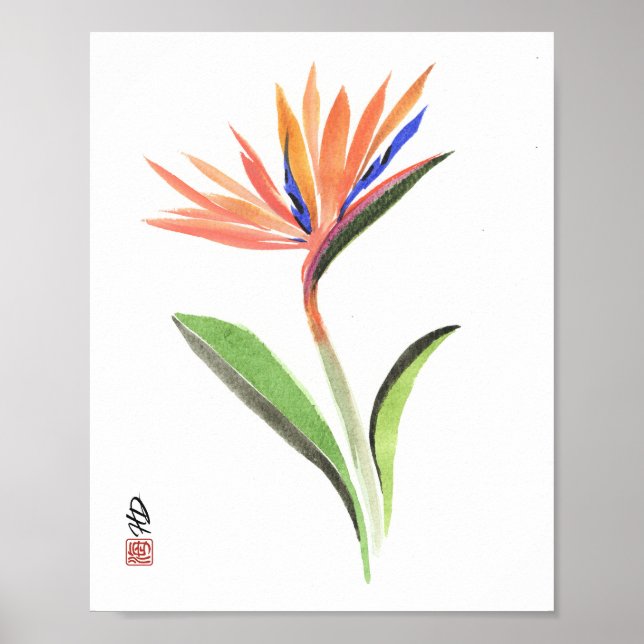 Poster Paraíso em Flor (Frente)