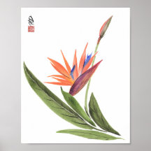 Paraíso em Flor