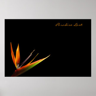 Poster Paraíso perdido