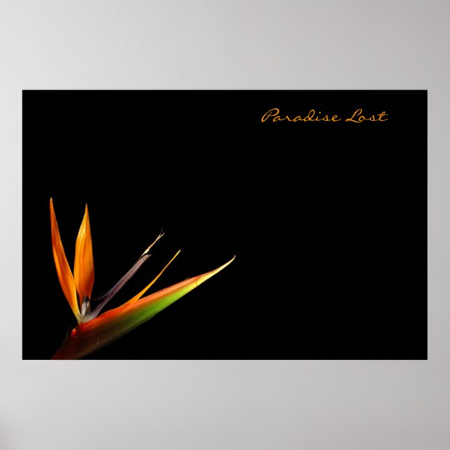 Poster Paraíso perdido (Frente)