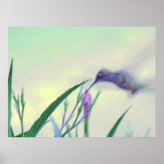 Pôster Paraíso Roxo