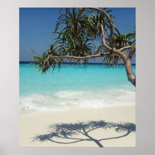 Poster Paraíso Sunny Tropical Beach Ocean