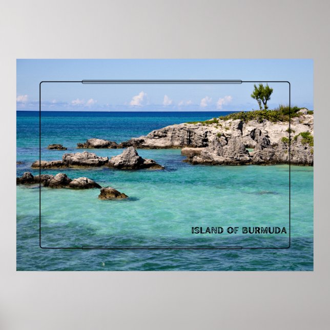 Poster Paraíso tropical (Frente)