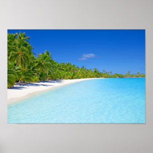 Poster Paraíso tropical da ilha da palmeira verde luxúr