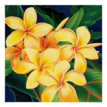 Paraíso Tropical Plumeria Havaiana