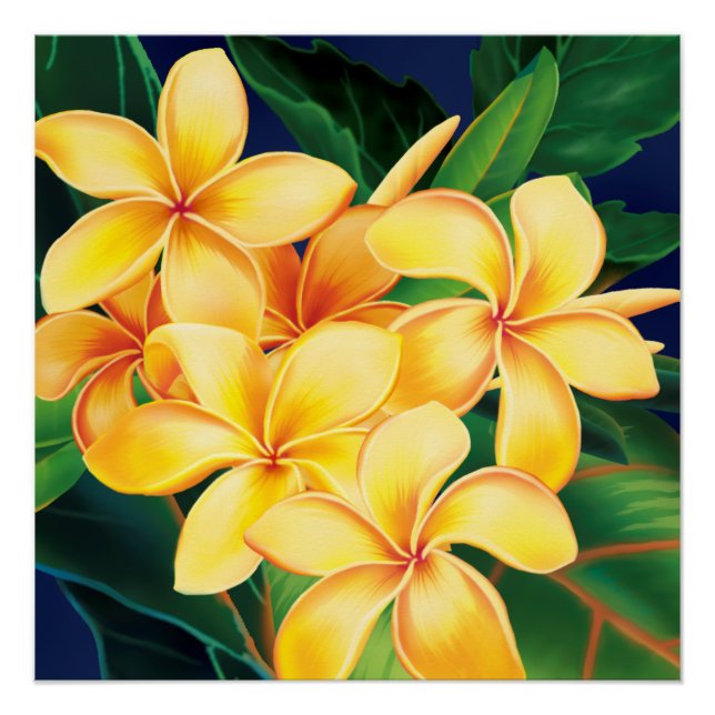 Pôster Paraíso Tropical Plumeria Havaiana (Frente)