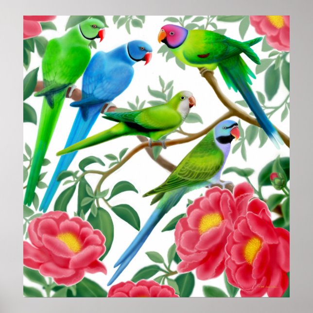 Poster Parakeets & Peonies Print (Frente)