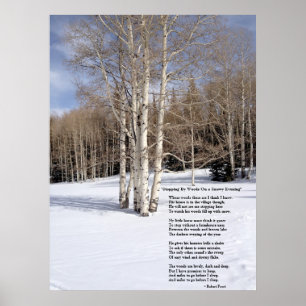 Poster Parando por Woods Numa Noite Neve