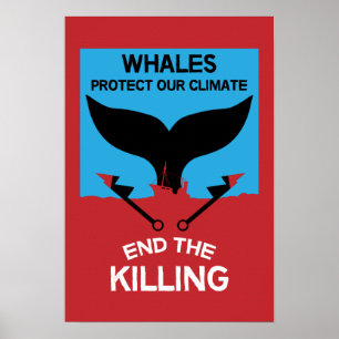 Poster Parar a Caça à Baleia Proibição da Caça à Baleia
