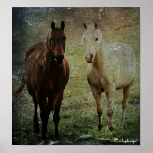 Pôster Parceiros de Cavalo Grunge