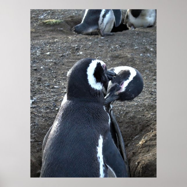 Poster Parceiros de preparação (Frente)