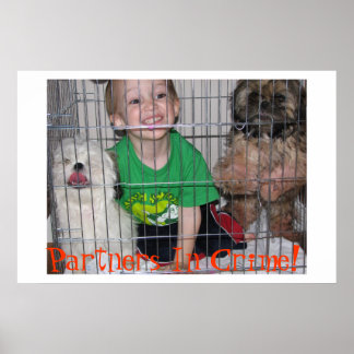 Pôster Parceiros No Crime!